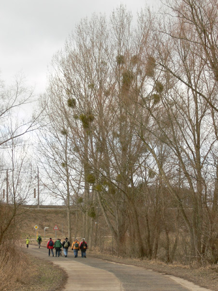 Wochenendfahrt nach Seehausen, Oberuckersee, Foto von Andrej Barth