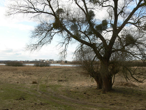 Wochenendfahrt nach Seehausen, Oberuckersee, Foto von Andrej Barth