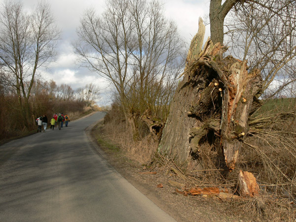 Wochenendfahrt nach Seehausen, Oberuckersee, Foto von Andrej Barth